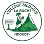 La Roche Bilingual School Group